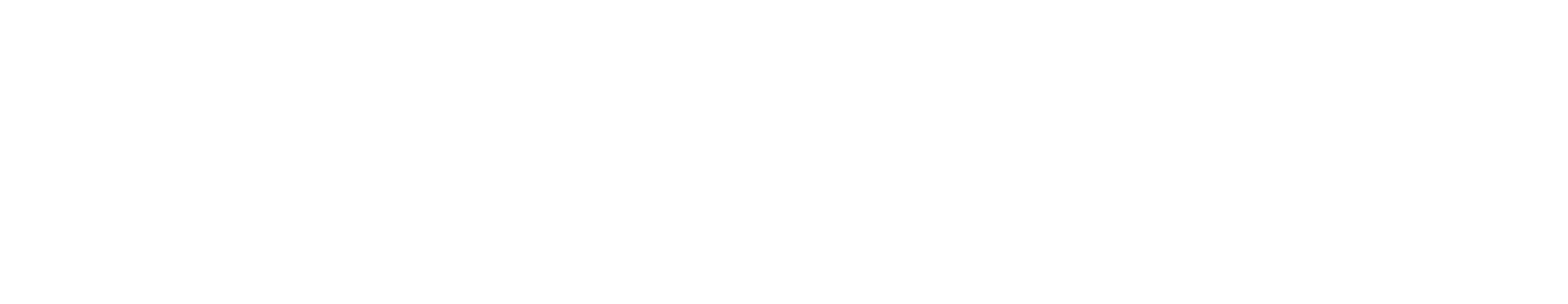 RetirementAdvisor Pro